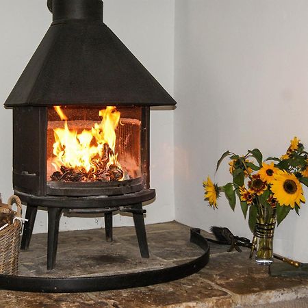 Old Orchard Cottage Haydon エクステリア 写真