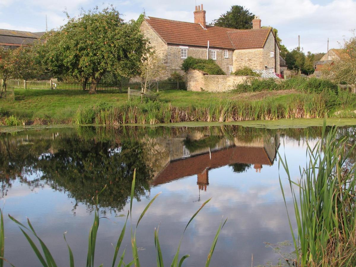 Old Orchard Cottage Haydon エクステリア 写真
